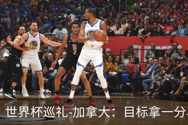 世界杯巡礼-加拿大：目标拿一分、赢一场，晋级32强
